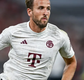 相信哈登和 相信哈登和