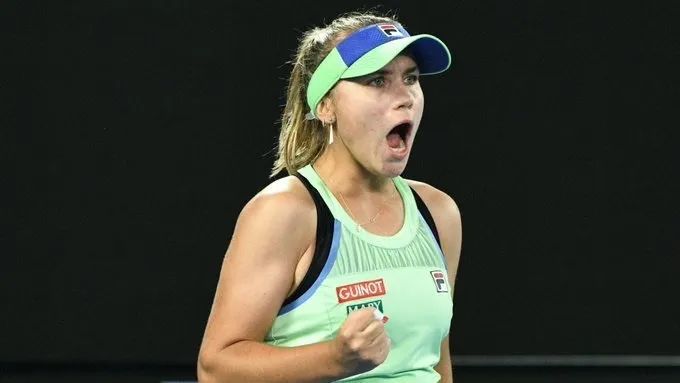 中国羽毛球 中国羽毛球