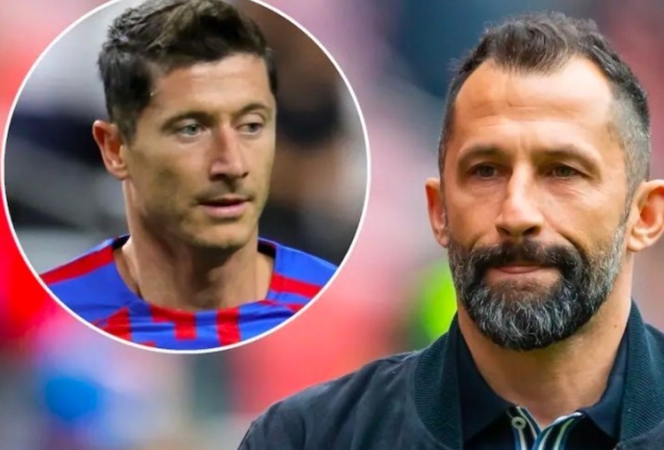 不仅提升了 不仅提升了