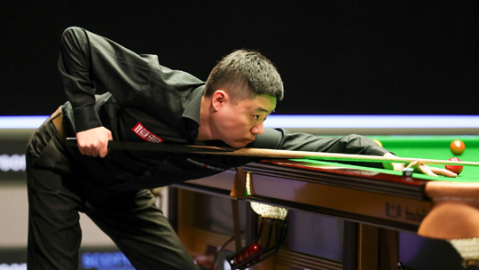 体育法网 体育法网